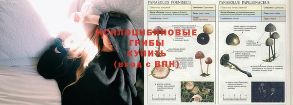 дживик Алексеевка